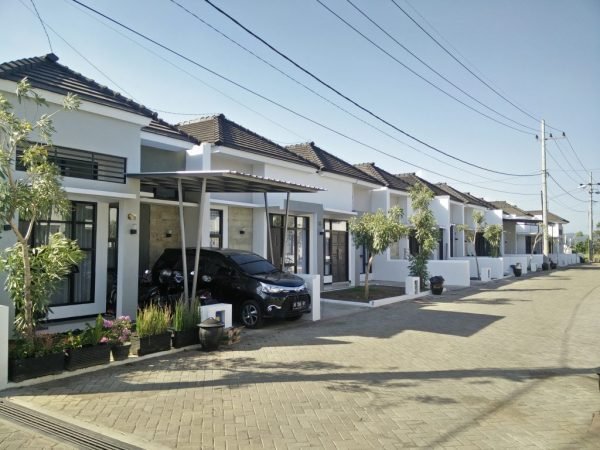 IMG_20191115_150223 IMG_20191115_150223